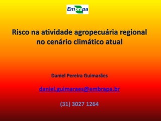 Risco na atividade agropecuária regional
no cenário climático atual
Daniel Pereira Guimarães
daniel.guimaraes@embrapa.br
(31) 3027 1264
 