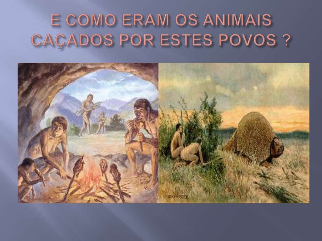 A Pré Historia Sul Americana Brasileira E Regional Resumo