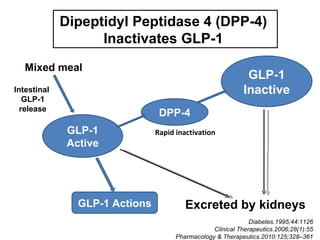 Dipeptidyl Peptidase 4 (DPP-4)
                   Inactivates GLP-1
   Mixed meal
                                                              GLP-1
Intestinal                                                   Inactive
   GLP-1
  release
                                 DPP-4
              GLP-1             Rapid inactivation
              Active




                GLP-1 Actions            Excreted by kidneys
                                                               Diabetes.1995;44:1126
                                                  Clinical Therapeutics.2006;28(1):55
                                      Pharmacology & Therapeutics.2010:125;328–361
 