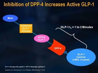 Inhibition of DPP-4 Increases ActiveGLP-1
 