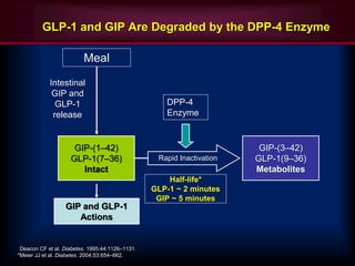 GLP-1 and GIP Are Degraded by the DPP-4 Enzyme
Meal
Intestinal
GIP and
GLP-1
release
GIP and GLP-1
Actions
DPP-4
Enzyme
GIP-(1–42)
GLP-1(7–36)
Intact
GIP-(3–42)
GLP-1(9–36)
Metabolites
Rapid Inactivation
Half-life*
GLP-1 ~ 2 minutes
GIP ~ 5 minutes
Deacon CF et al. Diabetes. 1995;44:1126–1131.
*Meier JJ et al. Diabetes. 2004;53:654–662.
 