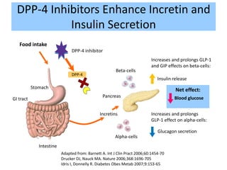 Food intake
Stomach
GI tract
Intestine
Increases and prolongs
GLP-1 effect on alpha-cells:
Alpha-cells
Pancreas
Insulin release
Net effect:
Blood glucose
Beta-cells
Increases and prolongs GLP-1
and GIP effects on beta-cells:
DPP-4 inhibitor
Glucagon secretion
Incretins
DPP-4
DPP-4 Inhibitors Enhance Incretin and
Insulin Secretion
Adapted from: Barnett A. Int J Clin Pract 2006;60:1454-70
Drucker DJ, Nauck MA. Nature 2006;368:1696-705
Idris I, Donnelly R. Diabetes Obes Metab 2007;9:153-65
 