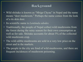 Shiitake cultivation methods | PPT