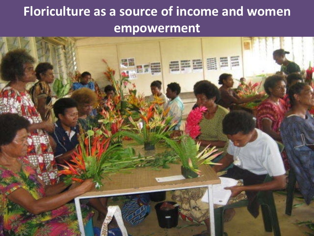 Case study of extension and advisory services in papua new guinea