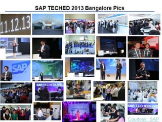 Sitchn 2014 overview