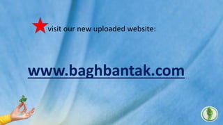 visit our new uploaded website:
www.baghbantak.com
 