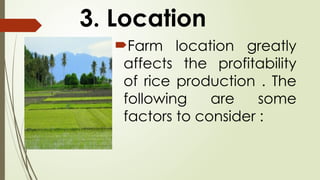 3. Location
Farm location greatly
affects the profitability
of rice production . The
following are some
factors to consider :
 