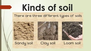 Kinds of soil
 