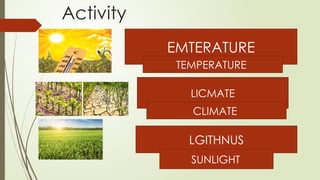 Activity
EMTERATURE
LICMATE
LGITHNUS
TEMPERATURE
CLIMATE
SUNLIGHT
 