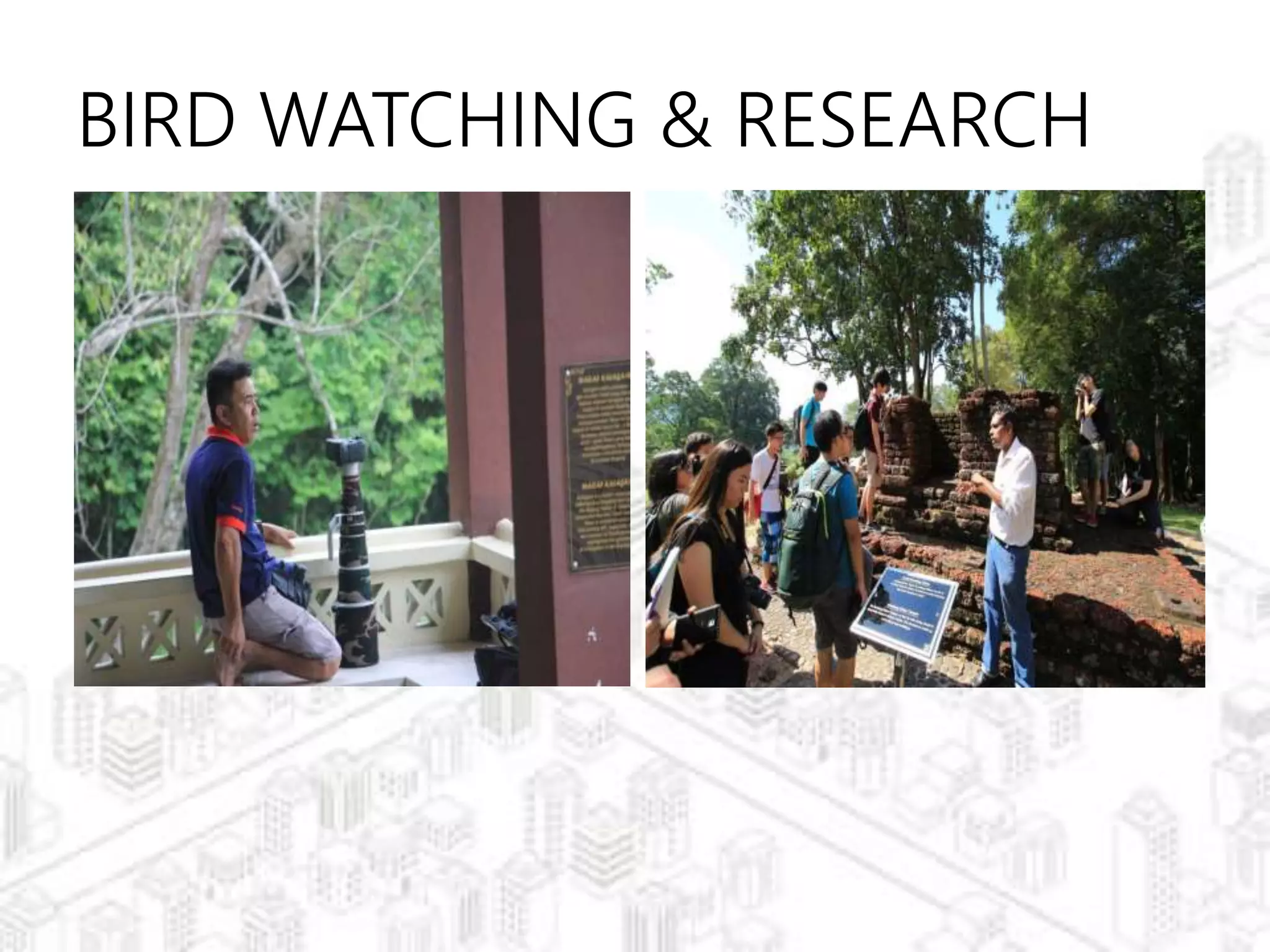 BIRD WATCHING & RESEARCH
 