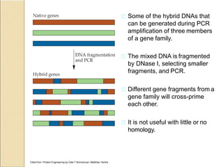 Fragmented Genes Site-Directed-Mutagenesis.pptx