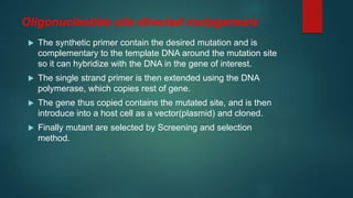Oligonucleotide site directed mutagenesis
 The synthetic primer contain the desired mutation and is
complementary to the template DNA around the mutation site
so it can hybridize with the DNA in the gene of interest.
 The single strand primer is then extended using the DNA
polymerase, which copies rest of gene.
 The gene thus copied contains the mutated site, and is then
introduce into a host cell as a vector(plasmid) and cloned.
 Finally mutant are selected by Screening and selection
method.
 