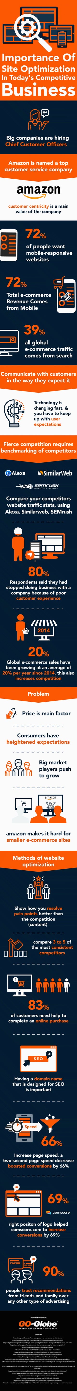 Importance of site optimization in today’s competitive business [infographic]