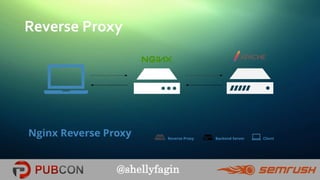 @shellyfagin
Reverse Proxy
 