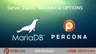 @shellyfagin
Server Stacks DATABASE OPTIONS
 