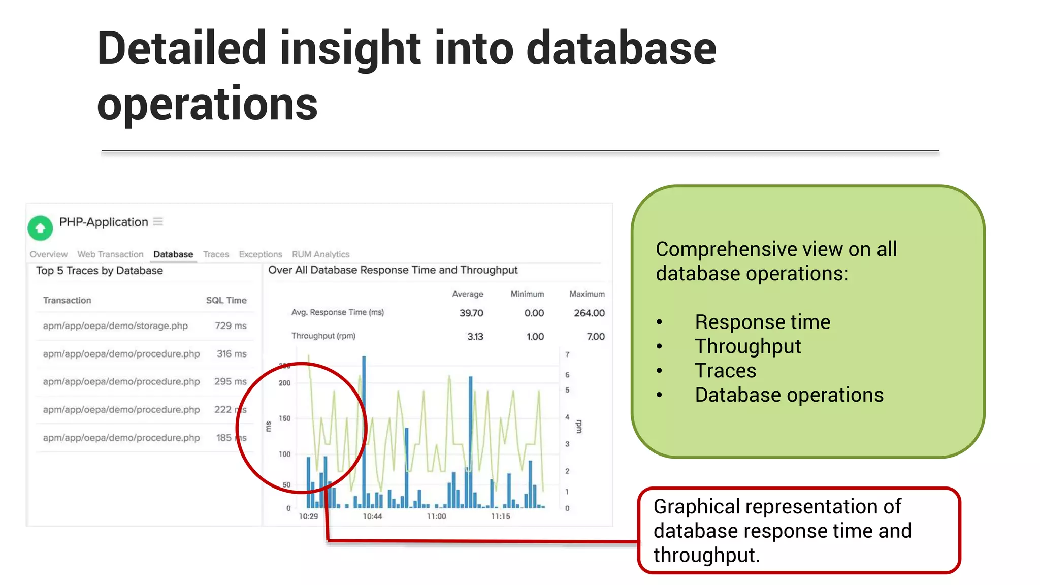 Detailed insight into database
operations
Comprehensive view on all
database operations:
• Response time
• Throughput
• Traces
• Database operations
Graphical representation of
database response time and
throughput.
 