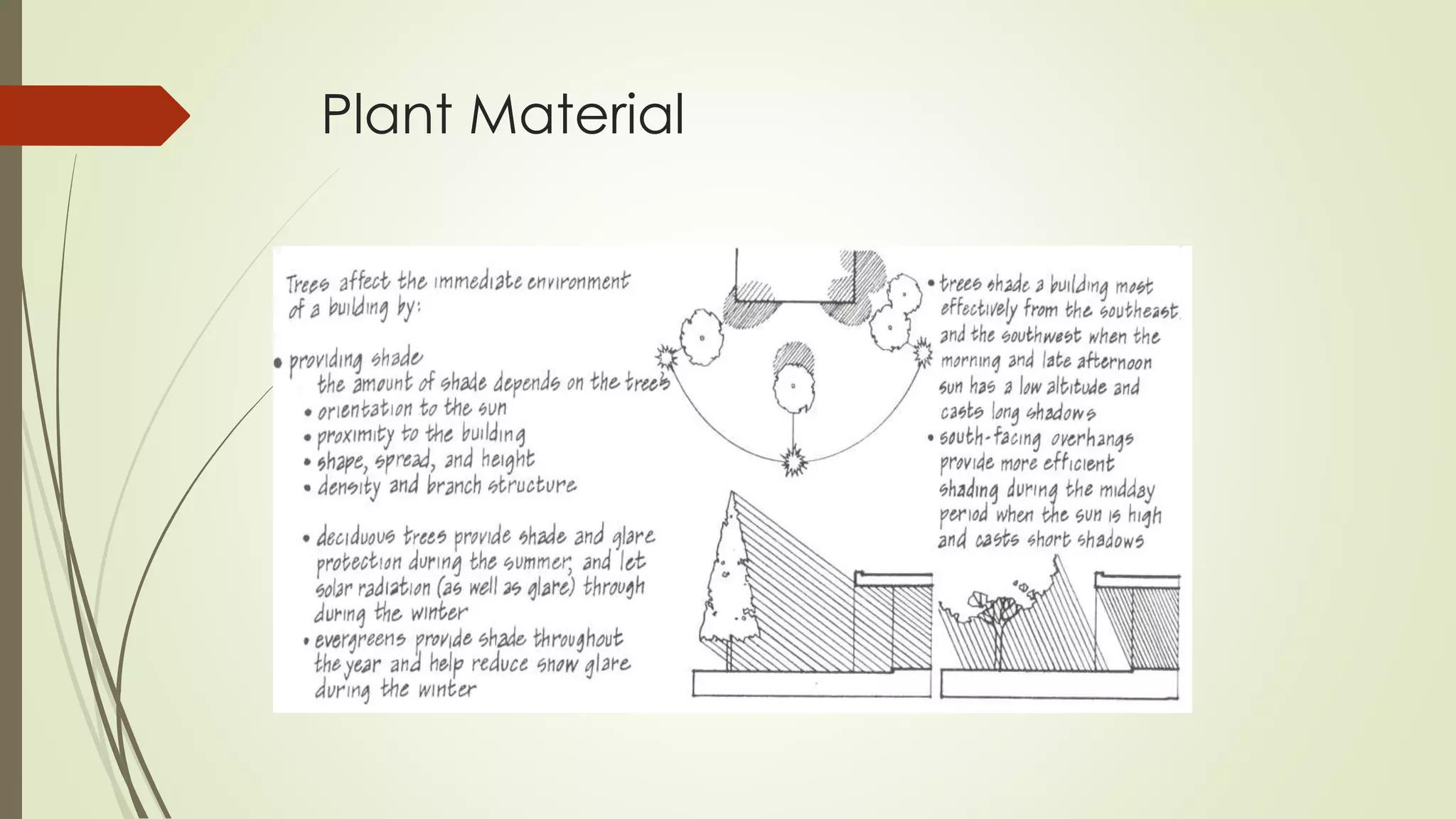 Plant Material
 