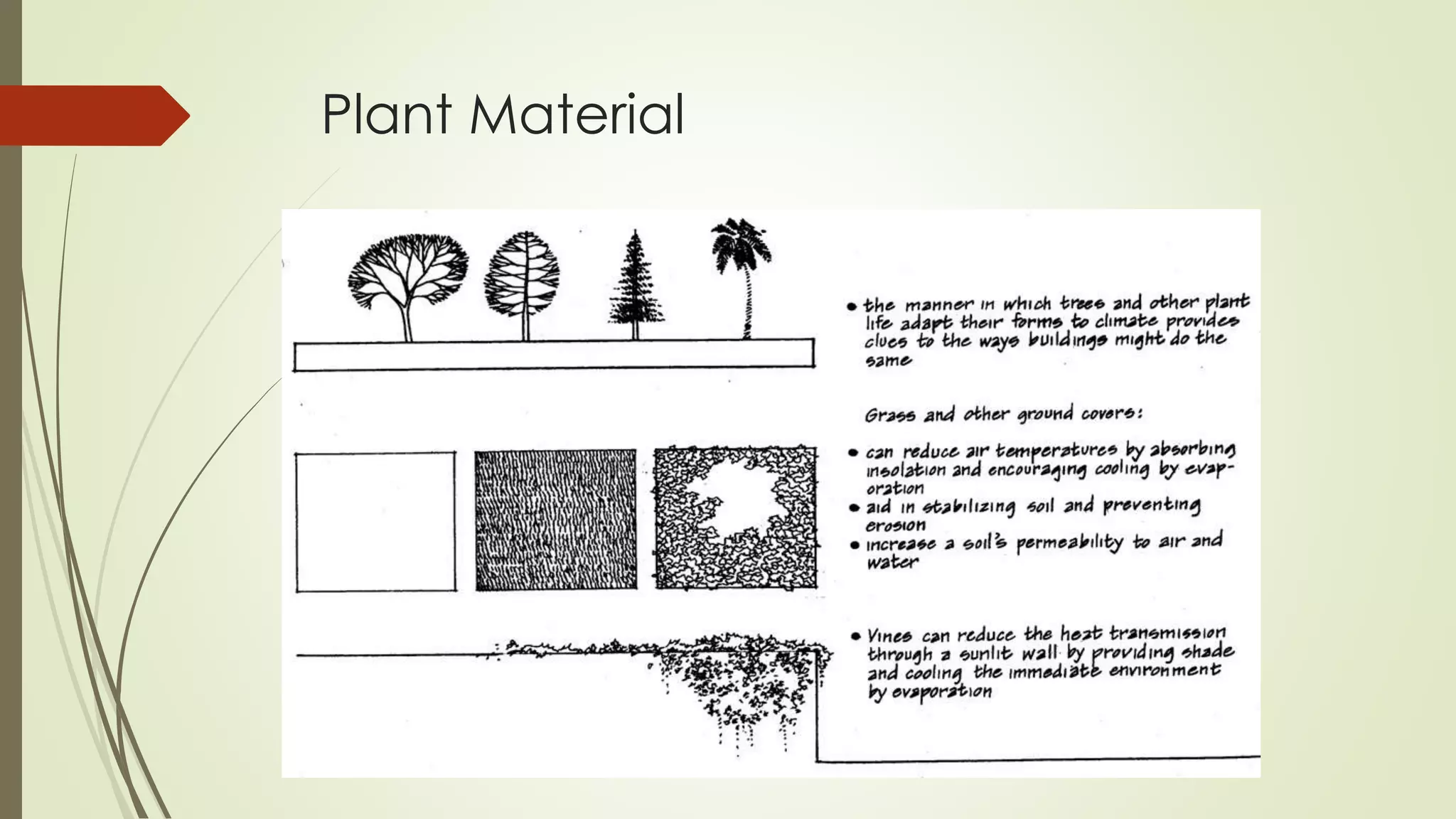 Plant Material
 