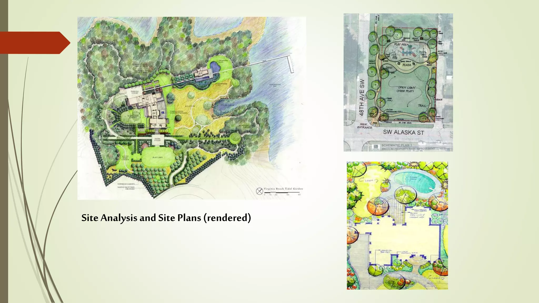 Site Analysis and Site Plans(rendered)
 