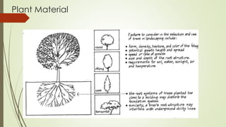 Plant Material
 