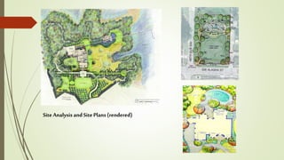 Site Analysis and Site Plans(rendered)
 