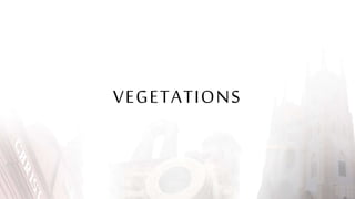VEGETATIONS
 