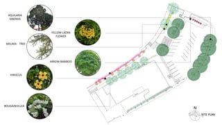 AQUILARIA
SINENSIS
MELAKA TREE
HIBISCUS
BOUGAINVILLEA
YELLOW LXORA
FLOWER
ARROW BAMBOO
 