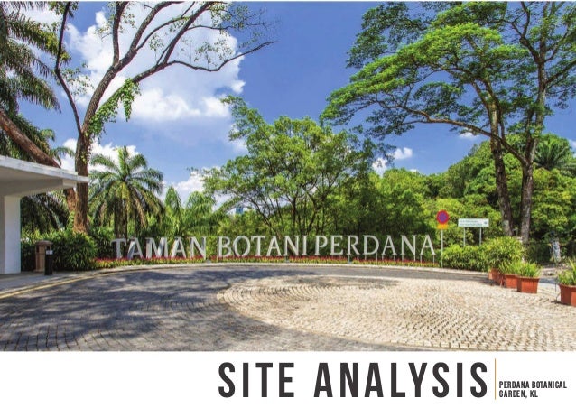 Site Analysis