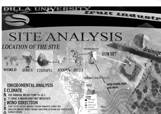 Site analysis