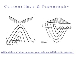 Without the elevation numbers you could not tell these forms apart! Contour lines & Topography 