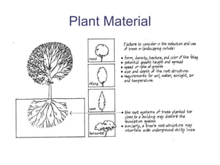 Plant Material 