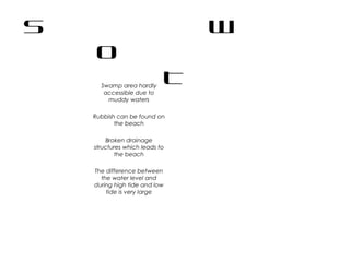 S W
O
TSwamp area hardly
accessible due to
muddy waters
Rubbish can be found on
the beach
Broken drainage
structures which leads to
the beach
The difference between
the water level and
during high tide and low
tide is very large
 