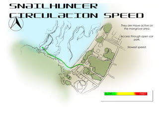 SNAILHUNTER
CIRCULATION SPEED
They are move active on
the mangrove area.
Access through open car
park.
Slowest speed.
 