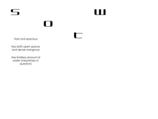 S W
O
TVast and spacious
Has both open spaces
and dense mangrove
Has limitless amount of
water (cleanliness in
question)
 