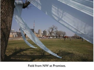 Field from NW at Promises. 