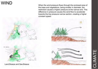 Land Breeze and Sea Breeze

When the wind pressure flows through the enclosed area of
the trees and vegetations, being smaller in diameter, the
restriction causes a higher pressure at the narrow end. This
difference in pressure causes the wind flow to accelerate
towards the low pressure narrow section, creating a higher
constant speed.

CLIMATE

WIND

 