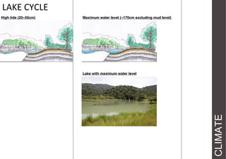 LAKE CYCLE
Maximum water level (~170cm excluding mud level)

Lake with maximum water level

CLIMATE

High tide (20~50cm)

 