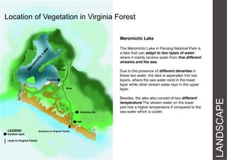 Location of Vegetation in Virginia Forest
Meromictic Lake
The Meromictic Lake in Penang National Park is
a lake that can adapt to two types of water:
where it mainly receive water from five different
streams and the sea.
Bridge

Pavilion
River

Camping site

Hall

LEGEND:
location spot
route to Virginia Forest

Entrance to Virginia Forest

Besides, the lake also consist of two different
temperature.The stream water on the lower
part has a higher temperature if compared to the
sea water which is cooler.

LANDSCAPE

Due to the presence of different densities in
these two water, the lake is seperated into two
layers, where the sea water exist in the lower
layer while other stream water lays in the upper
layer.

 