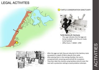LEGAL ACTIVITES

Turtle Hatchery & Sanctuary
- The cage indicates that the eggs are
being incubated until they are ready
to be hatched.
- Office hours: 7.30AM – 6PM

- After the eggs are laid, they are reburied in the hatchery nests
excavated to a depth of 60cm deep & 25cm wide.
- After placing them in the nesting chamber, the nest is
compacted with remaining sand and left for incubation.
- They then label the clutches using bamboo sticks & cover the
nest with a protective netting to avoid predation attempts.

ACTIVITIES

TURTLE CONSERVATION SANCTUARY

 