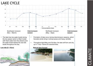Intermonsoon
season
Intermonsoon
season
• Formation of lake occur during intermonsoon seasons, which
Sumatra winds bring in strong waves and heavy rainfalls.
• Throughout April-May and Oct-Nov, the lake will form and dry
up in 1 hour 15mins for several times.
Northeast monsoon
(May – Sept)
Southwest monsoon
(Nov – March)
• The lake has low water levels during
the dry season which is filled mostly
with fresh water from the streams and
the water levels follows the sea tide
levels throughout the day.
CLIMATE
8 8
15
16
14
11
12
14
17
21
19
15
0
5
10
15
20
25
Jan Feb Mar Apr May Jun Jul Aug Sep Oct Nov Dec
Yearly precipitation (days)
LAKE CYCLE
Low tide (0 ~10cm) Natural dam formed
 