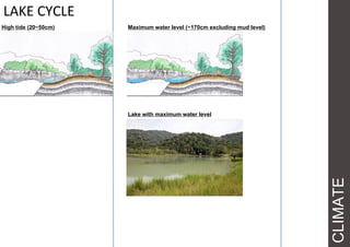CLIMATE
LAKE CYCLE
High tide (20~50cm) Maximum water level (~170cm excluding mud level)
Lake with maximum water level
 