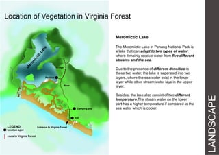 LEGEND:
location spot
route to Virginia Forest
Entrance to Virginia Forest
Hall
Camping site
Pavilion
Bridge
River
Meromictic Lake
The Meromictic Lake in Penang National Park is
a lake that can adapt to two types of water:
where it mainly receive water from five different
streams and the sea.
Due to the presence of different densities in
these two water, the lake is seperated into two
layers, where the sea water exist in the lower
layer while other stream water lays in the upper
layer.
Besides, the lake also consist of two different
temperature.The stream water on the lower
part has a higher temperature if compared to the
sea water which is cooler.
Location of Vegetation in Virginia Forest
LANDSCAPE
 