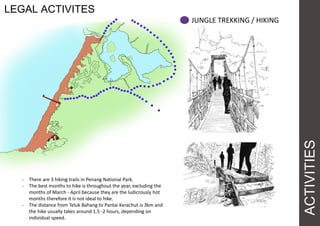 ACTIVITIES
LEGAL ACTIVITES
- There are 3 hiking trails in Penang National Park.
- The best months to hike is throughout the year, excluding the
months of March - April because they are the ludicrously hot
months therefore it is not ideal to hike.
- The distance from Teluk Bahang to Pantai Kerachut is 3km and
the hike usually takes around 1.5 -2 hours, depending on
individual speed.
JUNGLE TREKKING / HIKING
 