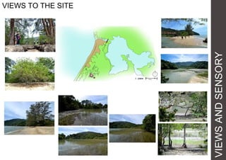 VIEWSANDSENSORY
VIEWS TO THE SITE
 