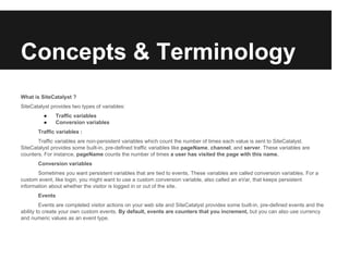 Adobe Site Catalyst Overview | PDF