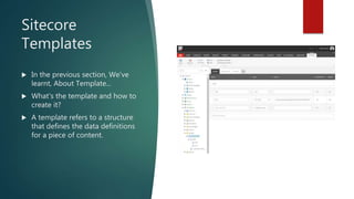 Sitecore KT for Layout | PPTX | Web Design and HTML | Internet