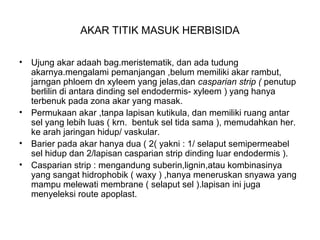 AKAR TITIK MASUK HERBISIDA
• Ujung akar adaah bag.meristematik, dan ada tudung
akarnya.mengalami pemanjangan ,belum memiliki akar rambut,
jarngan phloem dn xyleem yang jelas,dan casparian strip ( penutup
berlilin di antara dinding sel endodermis- xyleem ) yang hanya
terbenuk pada zona akar yang masak.
• Permukaan akar ,tanpa lapisan kutikula, dan memiliki ruang antar
sel yang lebih luas ( krn. bentuk sel tida sama ), memudahkan her.
ke arah jaringan hidup/ vaskular.
• Barier pada akar hanya dua ( 2( yakni : 1/ selaput semipermeabel
sel hidup dan 2/lapisan casparian strip dinding luar endodermis ).
• Casparian strip : mengandung suberin,lignin,atau kombinasinya
yang sangat hidrophobik ( waxy ) ,hanya meneruskan snyawa yang
mampu melewati membrane ( selaput sel ).lapisan ini juga
menyeleksi route apoplast.
 