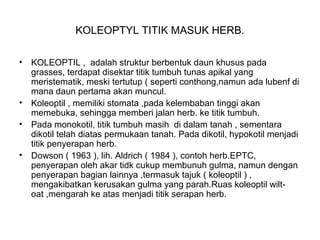 KOLEOPTYL TITIK MASUK HERB.
• KOLEOPTIL , adalah struktur berbentuk daun khusus pada
grasses, terdapat disektar titik tumbuh tunas apikal yang
meristematik, meski tertutup ( seperti conthong,namun ada lubenf di
mana daun pertama akan muncul.
• Koleoptil , memiliki stomata ,pada kelembaban tinggi akan
memebuka, sehingga memberi jalan herb. ke titik tumbuh.
• Pada monokotil, titik tumbuh masih di dalam tanah , sementara
dikotil telah diatas permukaan tanah. Pada dikotil, hypokotil menjadi
titik penyerapan herb.
• Dowson ( 1963 ), lih. Aldrich ( 1984 ), contoh herb.EPTC,
penyerapan oleh akar tidk cukup membunuh gulma, namun dengan
penyerapan bagian lainnya ,termasuk tajuk ( koleoptil ) ,
mengakibatkan kerusakan gulma yang parah.Ruas koleoptil wilt-
oat ,mengarah ke atas menjadi titik serapan herb.
 