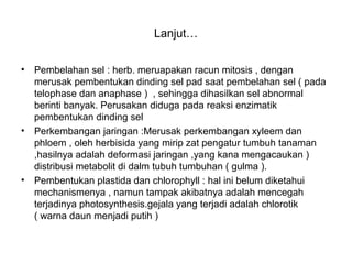 Lanjut…
• Pembelahan sel : herb. meruapakan racun mitosis , dengan
merusak pembentukan dinding sel pad saat pembelahan sel ( pada
telophase dan anaphase ) , sehingga dihasilkan sel abnormal
berinti banyak. Perusakan diduga pada reaksi enzimatik
pembentukan dinding sel
• Perkembangan jaringan :Merusak perkembangan xyleem dan
phloem , oleh herbisida yang mirip zat pengatur tumbuh tanaman
,hasilnya adalah deformasi jaringan ,yang kana mengacaukan )
distribusi metabolit di dalm tubuh tumbuhan ( gulma ).
• Pembentukan plastida dan chlorophyll : hal ini belum diketahui
mechanismenya , namun tampak akibatnya adalah mencegah
terjadinya photosynthesis.gejala yang terjadi adalah chlorotik
( warna daun menjadi putih )
 