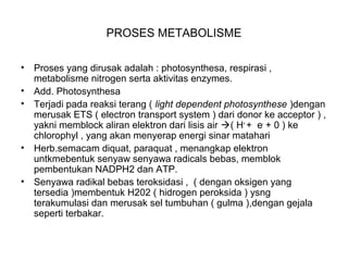 PROSES METABOLISME
• Proses yang dirusak adalah : photosynthesa, respirasi ,
metabolisme nitrogen serta aktivitas enzymes.
• Add. Photosynthesa
• Terjadi pada reaksi terang ( light dependent photosynthese )dengan
merusak ETS ( electron transport system ) dari donor ke acceptor ) ,
yakni memblock aliran elektron dari lisis air ( H+
+ e-
+ 0 ) ke
chlorophyl , yang akan menyerap energi sinar matahari
• Herb.semacam diquat, paraquat , menangkap elektron
untkmebentuk senyaw senyawa radicals bebas, memblok
pembentukan NADPH2 dan ATP.
• Senyawa radikal bebas teroksidasi , ( dengan oksigen yang
tersedia )membentuk H202 ( hidrogen peroksida ) ysng
terakumulasi dan merusak sel tumbuhan ( gulma ),dengan gejala
seperti terbakar.
 